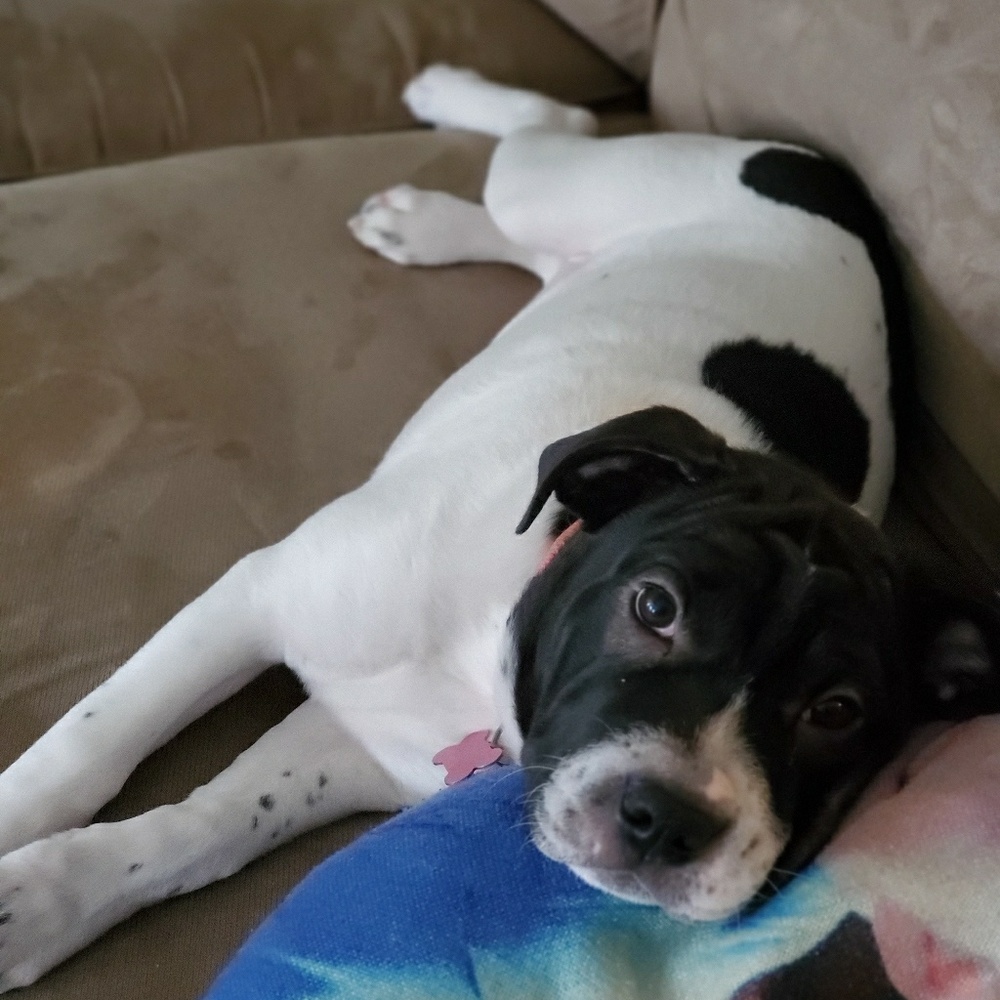 Meet your Posher, Wendy